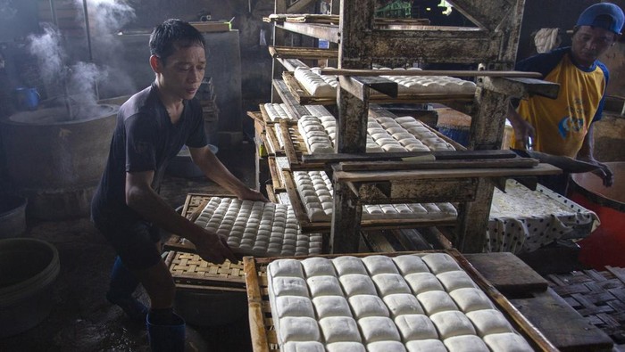 Pekerja menyelesaikan pembuatan tahu di Kelurahan Bojongsari, Indramayu, Jawa Barat, Rabu (8/11/2023). Naiknya harga kedelai impor dari harga Rp12.800 per kilogram menjadi Rp13.500 per kilogram, menyebabkan produsen tahu harus mengurangi ukuran agar terhindar dari kerugian. ANTARA FOTO/Dedhez Anggara/Spt.