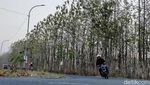 Hutan Jati Bojonegoro yang Meranggas di Penghujung Kemarau