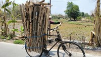 Penjual ranting kayu jati ini harus menyusuri belasan kilometer untuk menjualnya ke rumah-rumah warga.