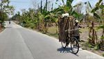 Hutan Jati Bojonegoro yang Meranggas di Penghujung Kemarau