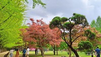 Taman cantik di Pulau Nami.