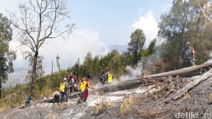 Kebakaran hutan dan lahan di Gunung Rinjani, NTB.