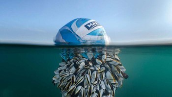 Karya Ryan Stalker, Inggris. Foto: The German Society for Nature Photography