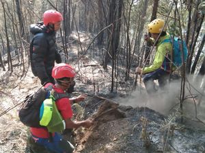 Puncak Batu Tulis di Gunung Kawi Malang Terbakar
