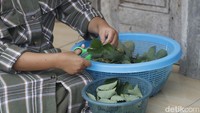Daun stroberi yang dipilih merupakan daun yang segar. Daun dipotong, lalu dicuci bersih.  