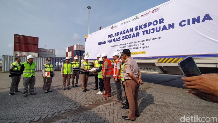 4.176 ton nanas segar asal Lampung diekspor ke Cina