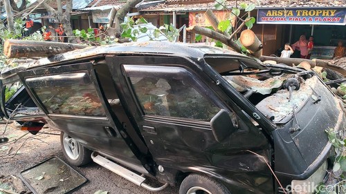 Angin kencang menyebabkan 9 pohon di Mataram tumbang dan menimpa mobil warga.