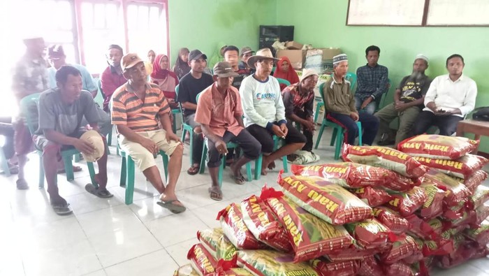 Petani di Desa Siru, Kecamatan Lembor, Kabupaten Manggarai Barat menerima bantuan benih padi varietas inpari 32 dari Pemerintah Desa setempat (Istimewa)