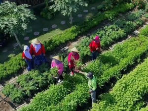 Maksimalkan Lahan Rawa, BRI Dukung Pemberdayaan Urban Farming di Surabaya