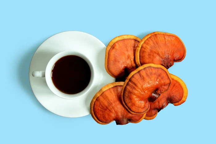 Catat! Ini 5 Racikan Kopi Kekinian yang Disebut Menyehatkan