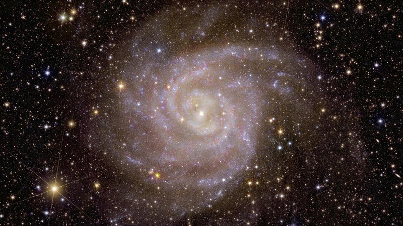 Stellar nursery called 