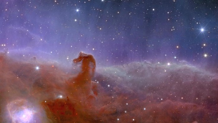Stellar nursery called 