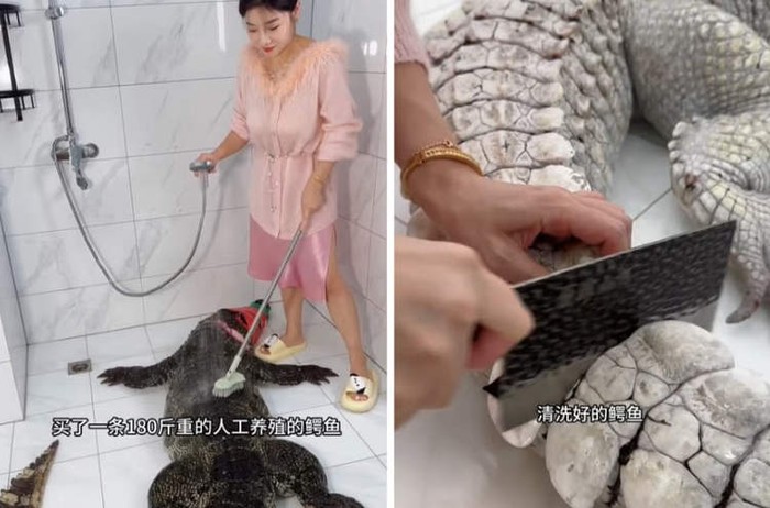Food Vlogger Dikecam Usai Menguliti dan Masak Aligator 90 Kg