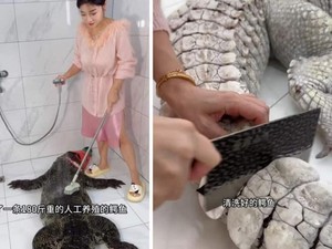 Food Vlogger Dikecam Usai Menguliti dan Masak Aligator 90 Kg