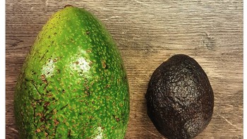 Alpukat Venezuela dan alpukat Jerman dari pasar ramah lingkungan Foto: Brightside