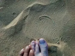 Foto Perbandingan Bikin Mata Melotot