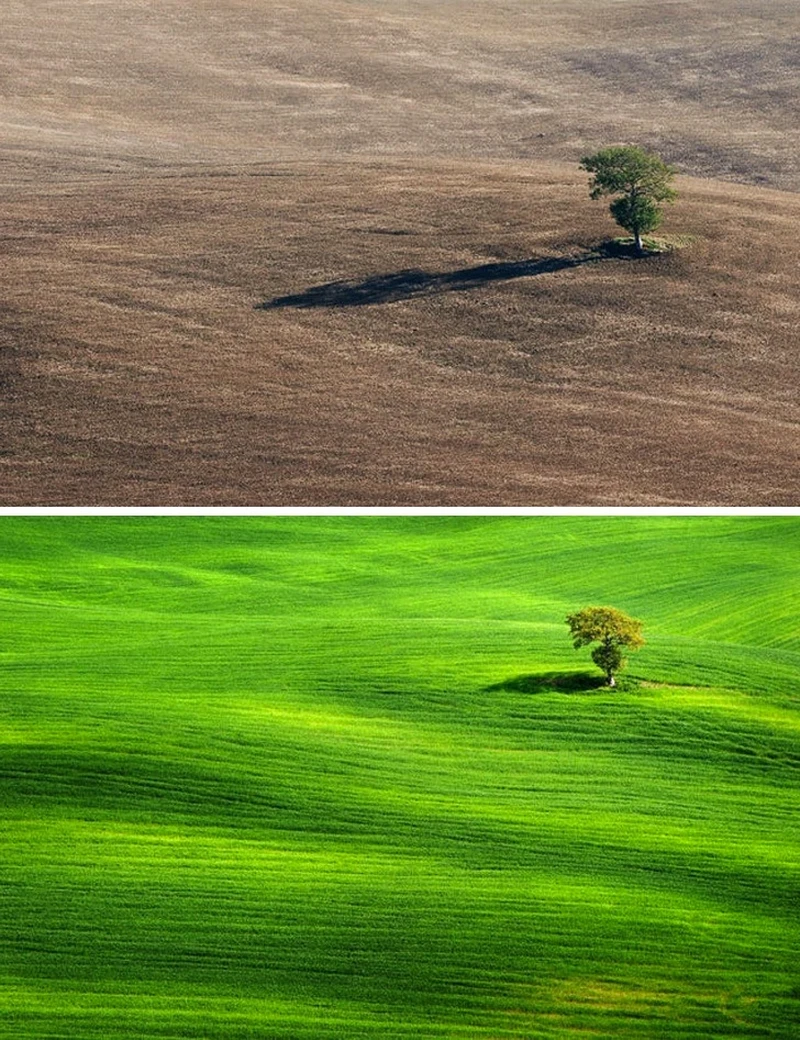 Foto Perbandingan Bikin Melotot