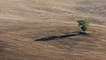 Sebuah tempat yang sama di Tuscany, hanya berjarak beberapa bulan memperlihatkan perbedaan yang mencolok Foto: Brightside
