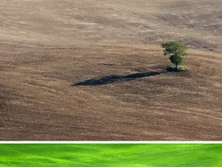 Foto Perbandingan Bikin Mata Melotot