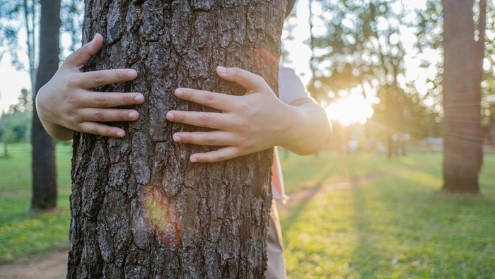 Ilustrasi Anak Hilang di Hutan