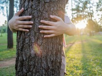 Walhi: Dalam 10 Tahun, 11 Ribu Hektare Hutan di Jateng Hilang