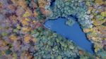 Indahnya Hutan di Jerman Penuh Warna Saat Musim Gugur