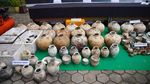 Lihat Lagi Penampakan Harta Karun di Laut RI yang Gagal Dibawa Kabur