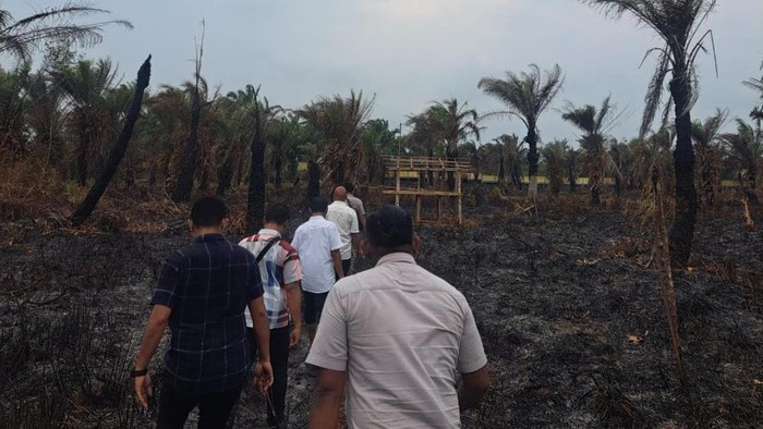 Pembakaran cagar alam Danau Dendam Tak Sudah di Bengkulu.