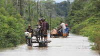 Data BPBD Kabupaten Aceh Barat menyebutkan banjir terjadi karena tingginya intensitas hujan dan meluapnya sungai Krueng Woyla dan Krueng Meureubo.  