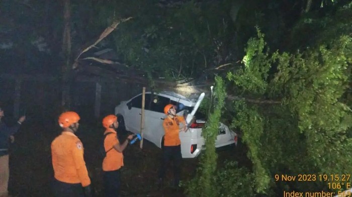 Pohon tumbang di Bogor