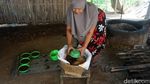 Potret Pembuatan Gula Kelapa Purbalingga, Omzetnya Rp 12 Juta Per Bulan