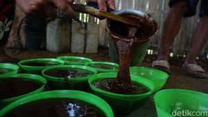 Potret Pembuatan Gula Kelapa Purbalingga, Omzetnya Rp 12 Juta Per Bulan
