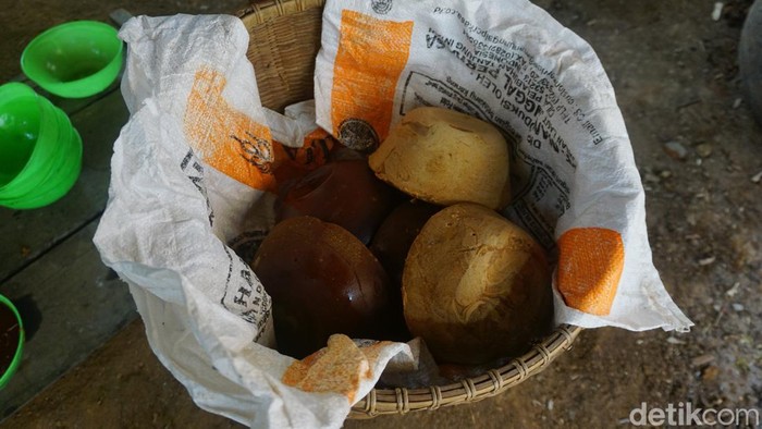 Membuat gula merah dari nira kelapa tidaklah sulit. Perempuan asal Purbalingga ini membuktikan dengan menekuni usaha itu sejak lama dan kini berbuah manis.