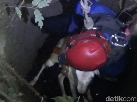 Proses evakuasi anak kambing tercebur sumur di Desa Malang Jiwan, Kabupaten Klaten, oleh Damkar, Redkar dan relawan, Rabu (8/11/2023) malam.