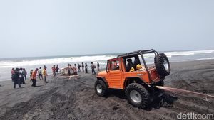 Foto-foto Momen Evakuasi Hiu Tutul Jumbo 1 Ton di Kulon Progo Pakai Jip