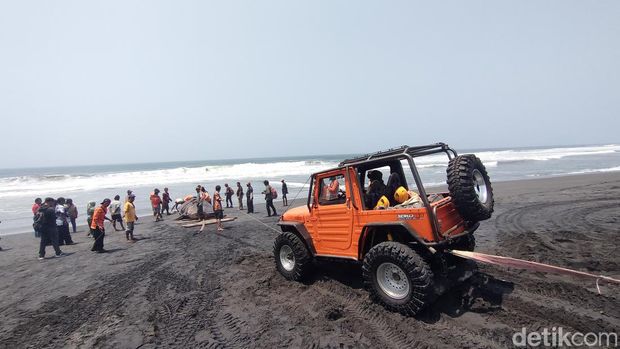 Proses evakuasi hiu tutul jumbo di Pesisir Kulon Progo, Kamis (9/11/2023). Tampak dua jip dikerahkan untuk peroses evakuasi.