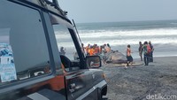 Perlahan, mamalia sepanjang sekitar 10 meter dengan bobot 1 ton lebih itu mulai bisa terangkat ke daratan.