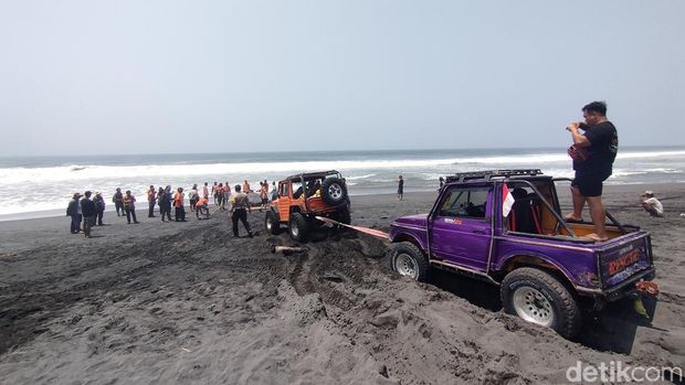 Proses evakuasi hiu tutul menggunakan jip di pesisir Garongan, Kapanewon Panjatan, Kabupaten Kulon Progo, Kamis (9/11/2023).