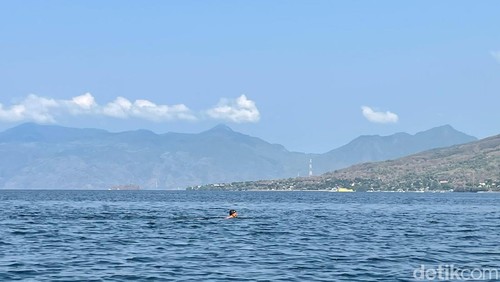 Ibrahim berenang di Selat Larantuka, Kamis (9/11/2023).