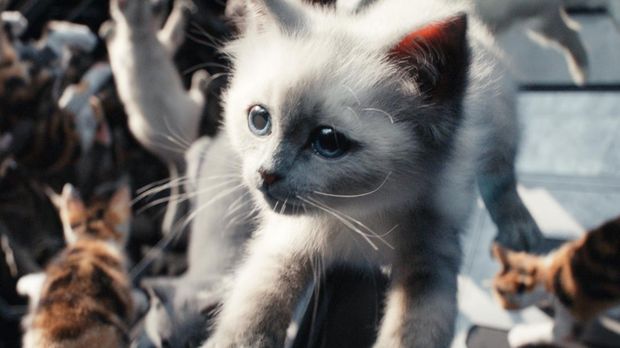 Flerkittens in Marvel Studios' THE MARVELS. Photo courtesy of Marvel Studios. © 2023 MARVEL.