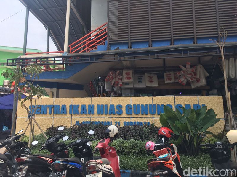 Asyiknya jalan-jalan sambil berburu ikan hias di Pasar Ikan Hias Gunungsari Surabaya