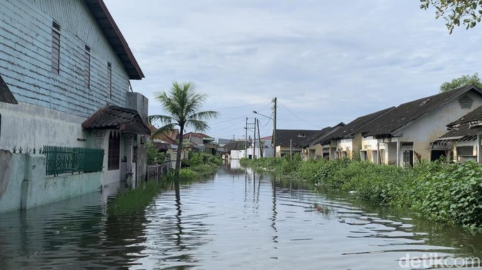 Banjir Rob di Belawan. (Raja Malo Sinaga/detikSumut)