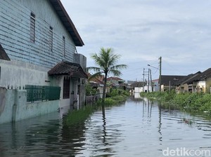 Cerita Warga Belawan Sehari-hari Terendam Banjir Rob