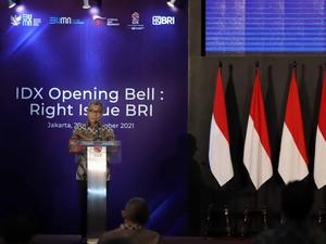 20 Tahun Melantai di Bursa Efek Indonesia, Saham BBRI Naik 61,5 Kali