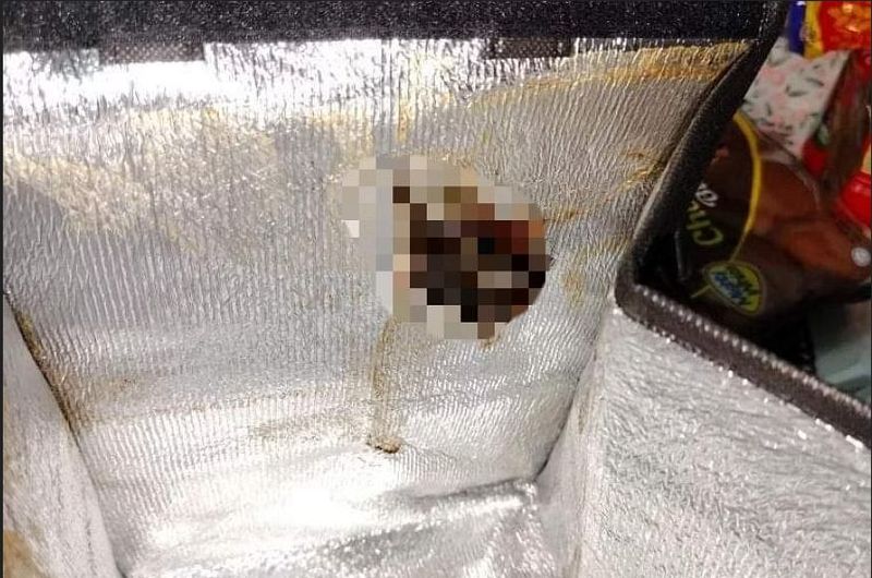 Duh! Pembeli Ini Temukan Tikus 'Penyet' di Dalam Bungkus Kuenya
