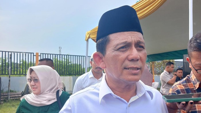 Gubernur Kepri, Ansar Ahmad. (Alamudin Hamapu/detikSumut)