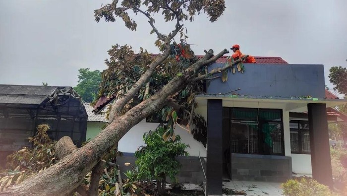 Hujan deras disertai angin kencang melanda sejumlah kawasan di Kabupaten Bogor, Jawa Barat, kemarin. Pohon besar tumbang diempas angin kencang. (dok BPBD Kab Bogor)