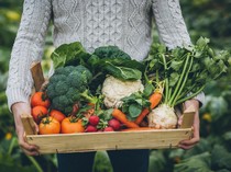 10 Resep Makanan Praktis dan Murah, Menu Andalan Anak Kos