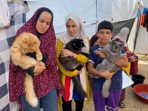 Tiga Kucing yang Jadi Pelipur Lara Pengungsi Gaza