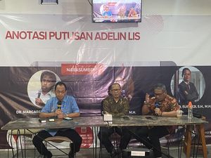 Pakar Hukum Soroti Vonis 10 Tahun Penjara Adelin Lis